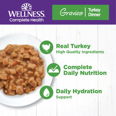 Wellness boîte ouverte montrant le gravy appétissant et hydratant