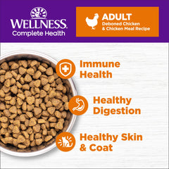 Wellness gros plan sur la texture des croquettes montrant appétence