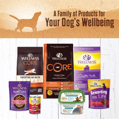 Wellness pâté servie en gamelle stimulante pour l’appétit du chien