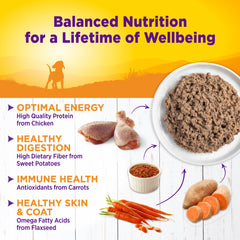 Wellness pâté chiot filet de saumon pour oméga et soutien cognitif