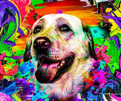 WELYEME chien coloré en contexte lifestyle illustrant rendu festif et durable