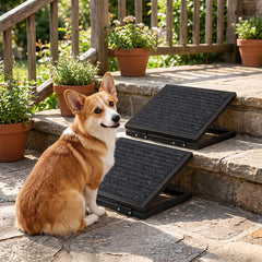 Wenqik rampe en usage vers canapé facilitant montée du petit chien