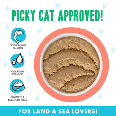 Weruva conserve versée sur assiette portion idéale pour chat