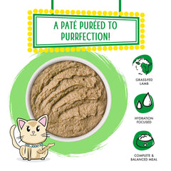 Weruva pâté gros plan montrant texture crémeuse et appétence améliorée