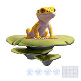 Westant champignon trio vue avant montrant design naturel et attirant pour terrarium