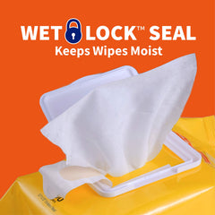 Wet Ones for Pets utilisé sur pattes pour enlever boue instantanément