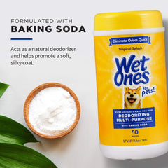 Wet Ones utilisé sur une patte de chien, nettoyage sans eau rapide