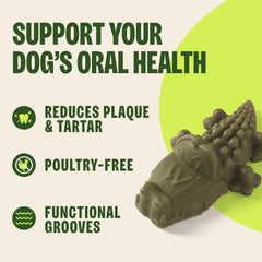 Chien tenant Whimzees Alligator pour une mastication longue et nettoyante