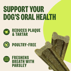 whimzees chien petit mâchant friandise pour nettoyage mécanique des dents