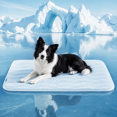 Whiskmiel tapis face avant montrant surface fraîche et confort immédiat
