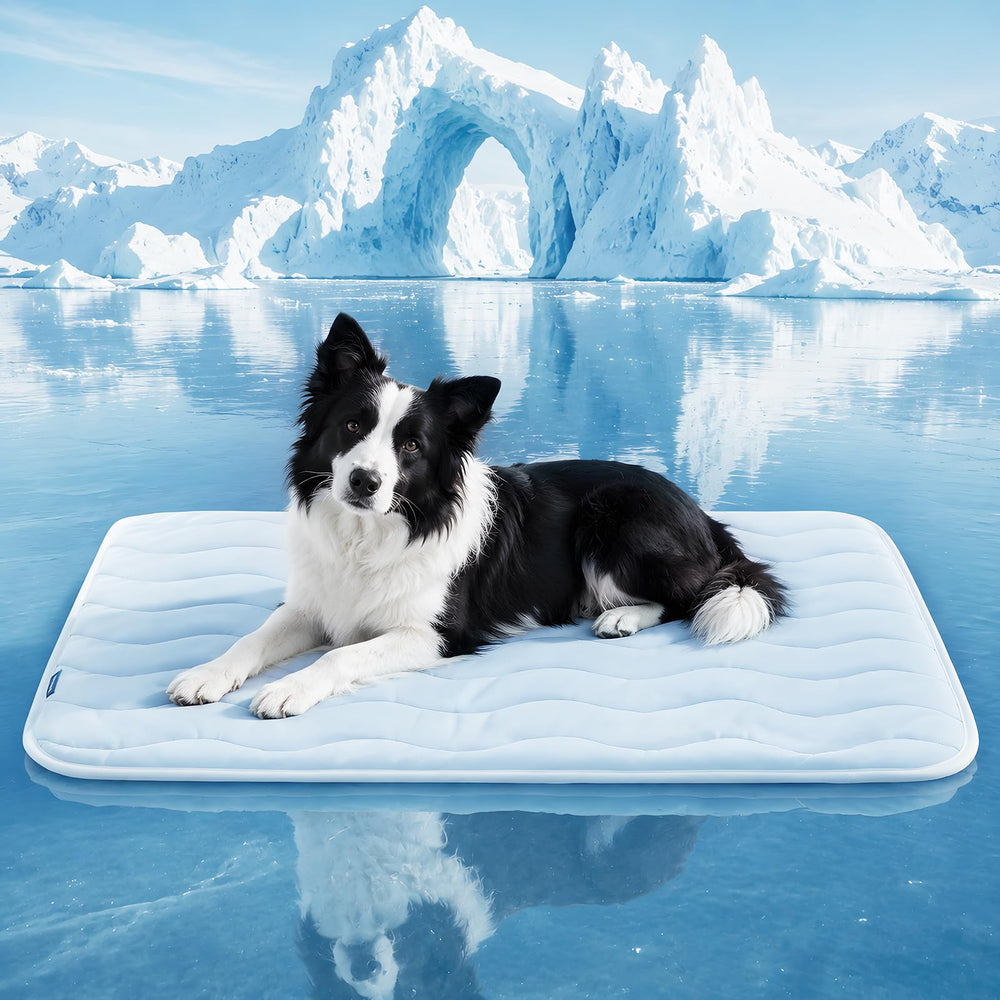 Whiskmiel tapis face avant affichant design et dimensions pour confort rapide