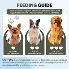 Mains tenant une friandise Whiskopia pour donner facilement au chien, administration simple