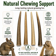 WhiteTail Naturals comparaison de taille avec règle, dimensions adaptées aux petits animaux