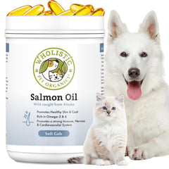 Wholistic Pet Organics boîte softgels vu de face pour dosage pratique