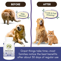 Wholistic Pet Organics capsule ajoutée au bol pour acceptation rapide