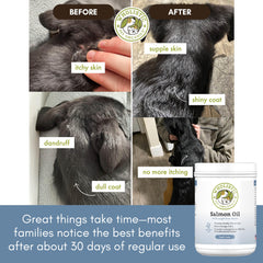 Wholistic Pet Organics softgel ouvert révélant huile protégée et fraîche