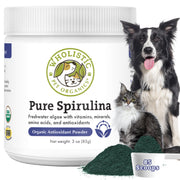 Wholistic spiruline emballage avant montrant portion pratique et sécurité