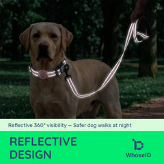 WhoseID chien en laisse la nuit avec bande réfléchissante visible