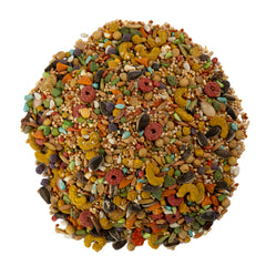 Wild Harvest calopsitte picorant le mélange stimulant son comportement naturel