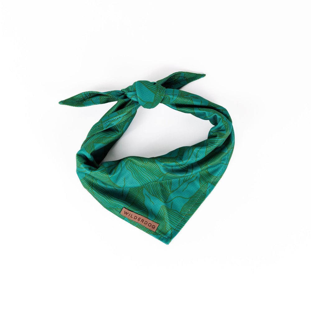 Wilderdog bandana Juniper vue avant montrant le design et le maintien confortable