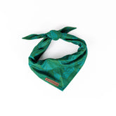 Wilderdog bandana Juniper vue avant montrant le design et le maintien confortable