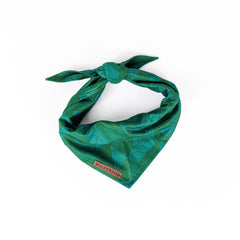 Wilderdog bandana Juniper vue avant montrant le design et le maintien confortable