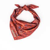 Wilderdog bandana Rodeo face avant montrant le motif et le style pour un look soigné