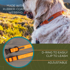 Wilderdog collier en action près d'une rivière montrant confort et étanchéité