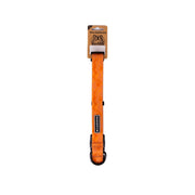 Wilderdog collier face avant terracotta, look résistant pour sorties mouillées