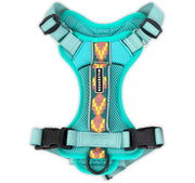 Wilderdog harnais face avant montrant coupe et couleur seafoam pour confort