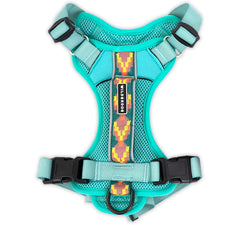 Wilderdog harnais face avant montrant coupe et couleur seafoam pour confort