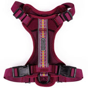 Wilderdog harnais Huckleberry vue avant montrant coupe sécurisante