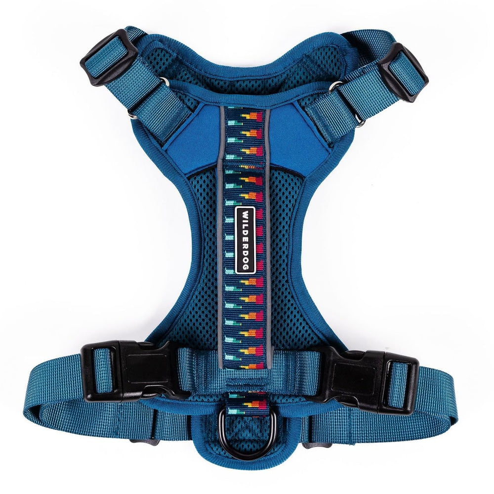 Wilderdog harnais face avant en Pacific Blue montrant coupe et maintien
