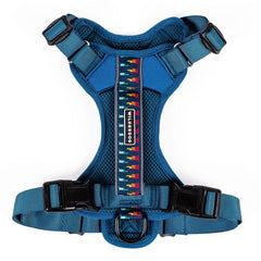Wilderdog harnais face avant en Pacific Blue montrant coupe et maintien