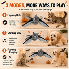 Wild Paws Flying posé au sol avec chat jouant, stimule chasse et pattes