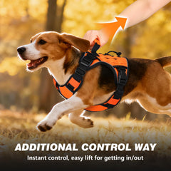 WINGOIN doublure mesh respirante pour confort et ventilation