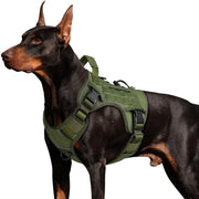 WINGOIN harnais tactile vue avant, maintien sécurisé pour grands chiens