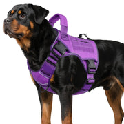 WINGOIN harnais violet face avant montrant style et réglages pour confort