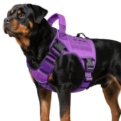 WINGOIN harnais violet face avant montrant style et réglages pour confort