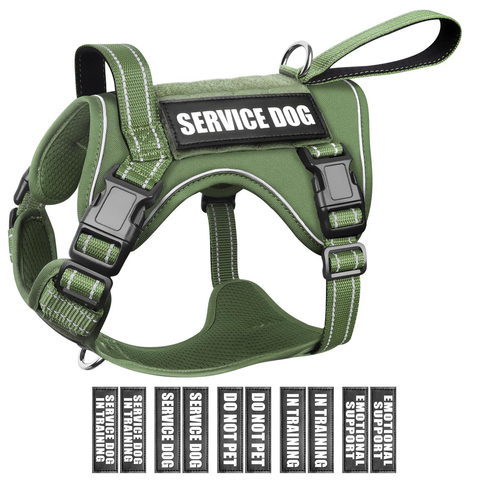 WINSEE harnais face avant montrant ergonomie et maintien