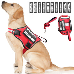 WINSEE harnais gilet vu de face avec zones pour patches, identification claire