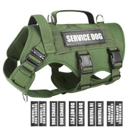 WINSEE vue frontale du gilet harnais montrant maintien et identification