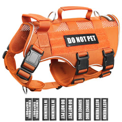 WINSEE harnais vue avant montrant coupe ajustée et stabilité
