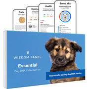 Wisdom Health boîte du test face montrant kit complet et simplicité