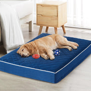 WNPETHOME lit orthopédique face montrant forme généreuse et confort