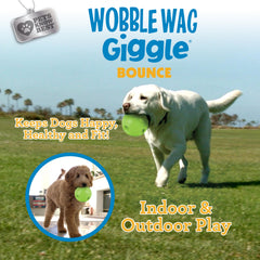 Comparaison de taille Wobble Wag Giggle à la main, facilite la prise et le transport