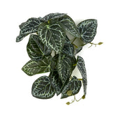 WOLEDOE plante Anthurium face avant présentant un feuillage réaliste et protection visuelle