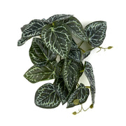 WOLEDOE plante Anthurium face avant présentant un feuillage réaliste et protection visuelle