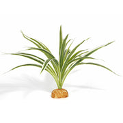 WOLEDOE plante araignée face avant apportant cachette et décor naturel
