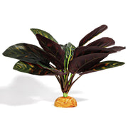 WOLEDOE plante paon vue face apportant décor naturel et cachette